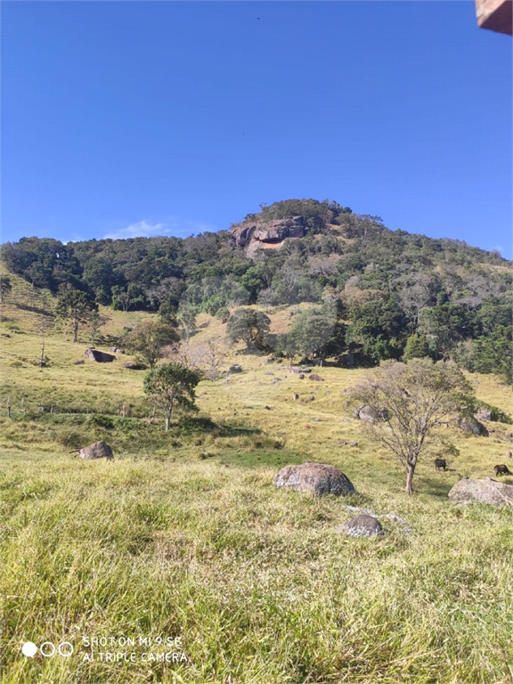 Sitio em munhoz minas gerais