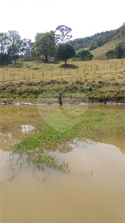 Sitio em munhoz minas gerais