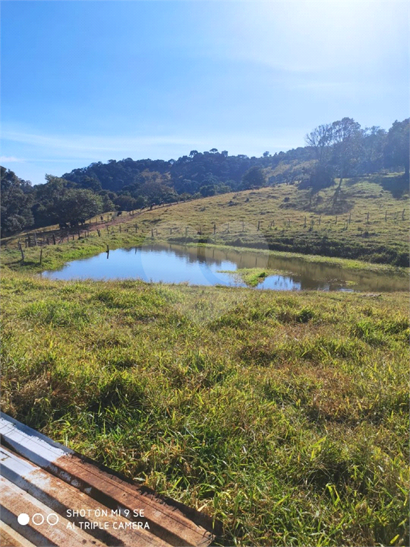 Sitio em munhoz minas gerais