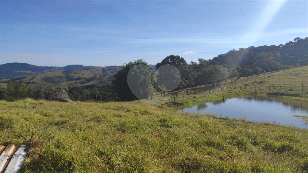 Sitio em munhoz minas gerais