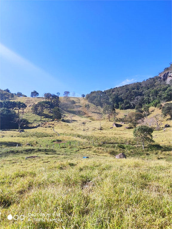 Sitio em munhoz minas gerais