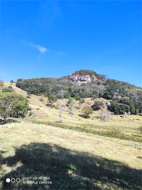 Sitio em munhoz minas gerais