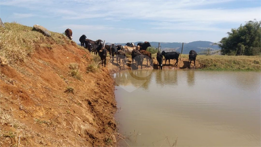 Sitio em munhoz minas gerais
