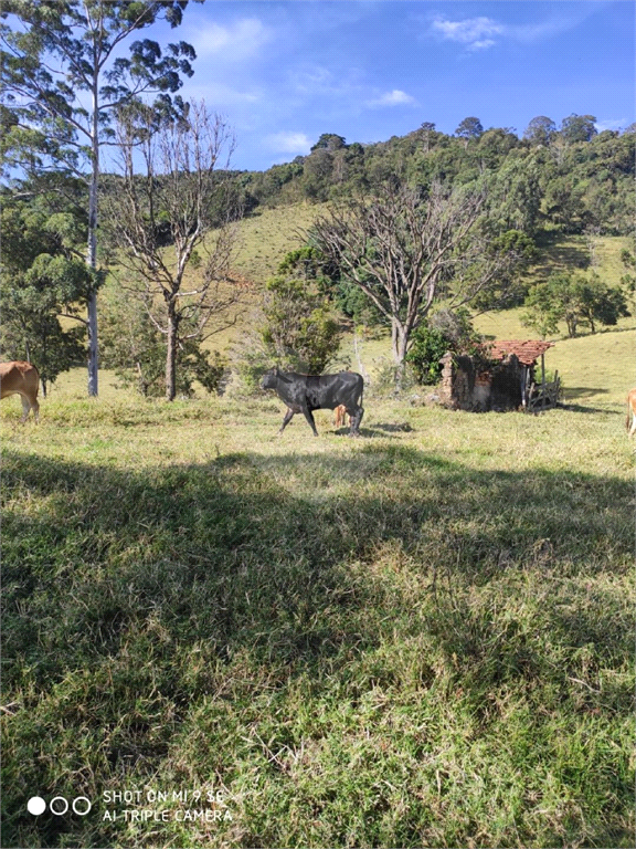 Sitio em munhoz minas gerais