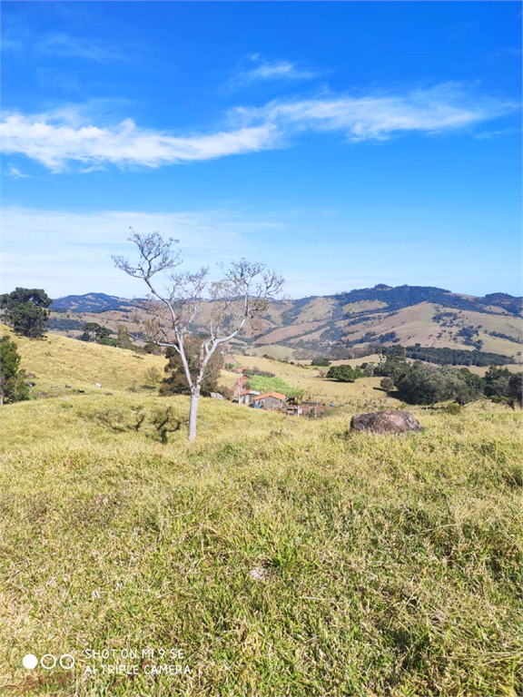 Sitio em munhoz minas gerais