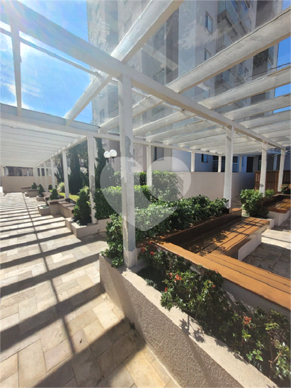 Apartamento em condomínio Clube, com varanda, 3 quartos e 1 vaga.