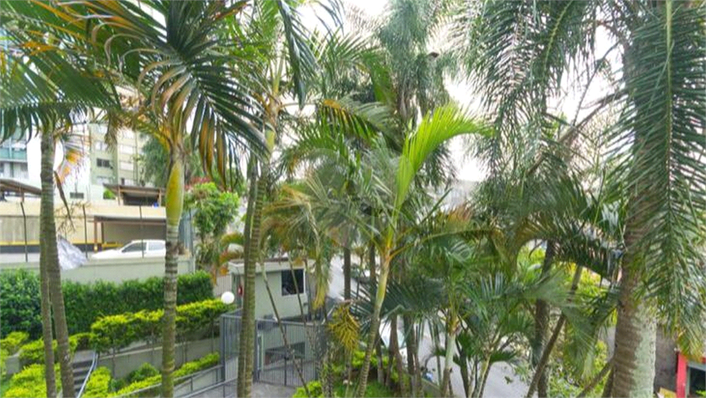 APARTAMENTO em VILA MASCOTE