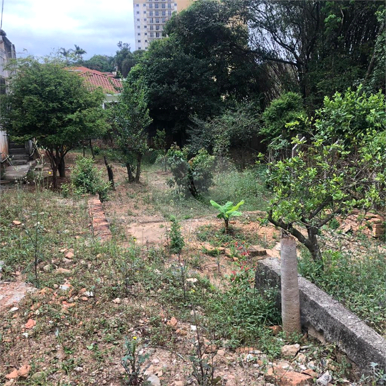 Terreno na Rua Augusto Tolle - Ótimo para investidores