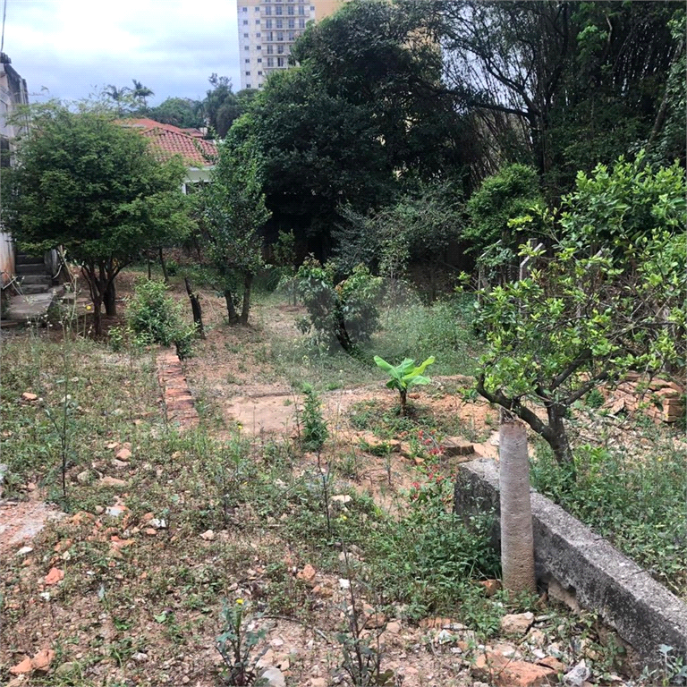 Terreno na Rua Augusto Tolle - Ótimo para investidores