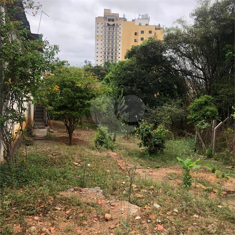 Terreno na Rua Augusto Tolle - Ótimo para investidores