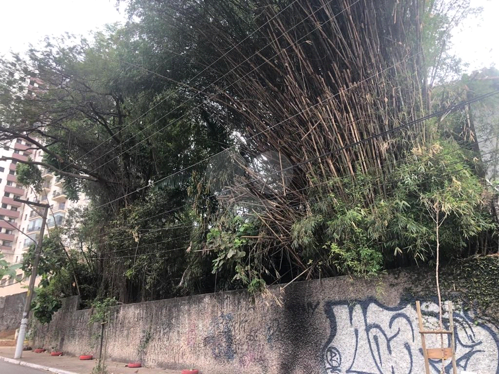 Terreno na Rua Augusto Tolle - Ótimo para investidores