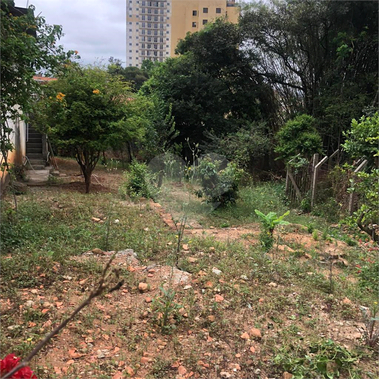 Terreno na Rua Augusto Tolle - Ótimo para investidores