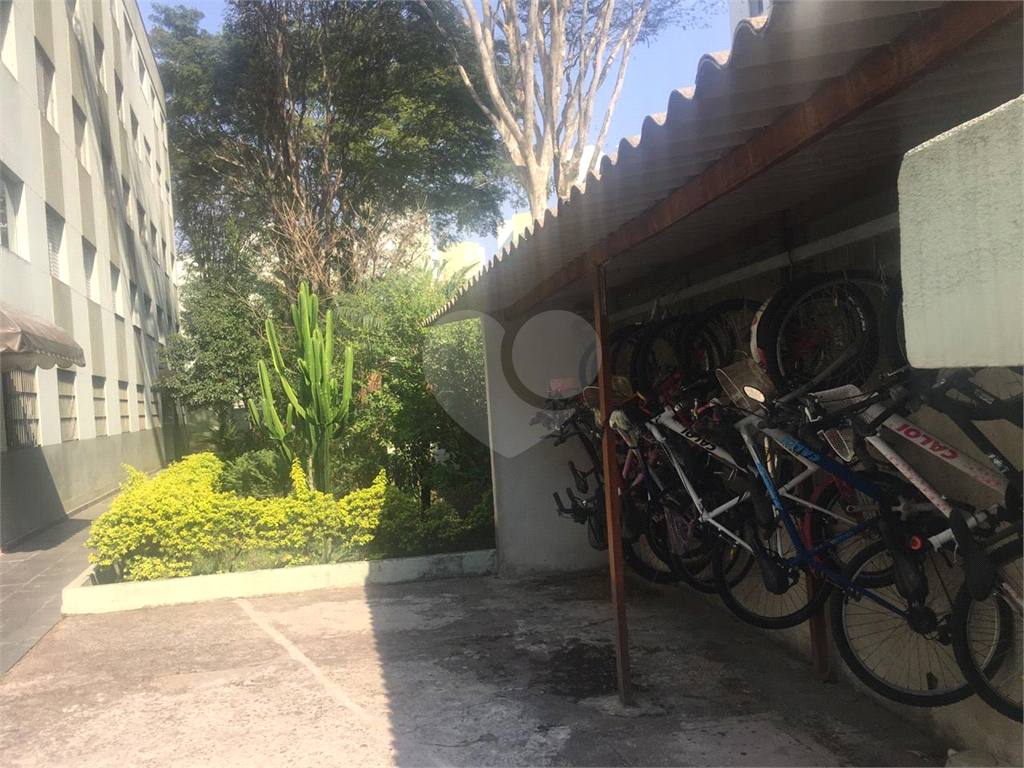 Apartamento Vila Amália