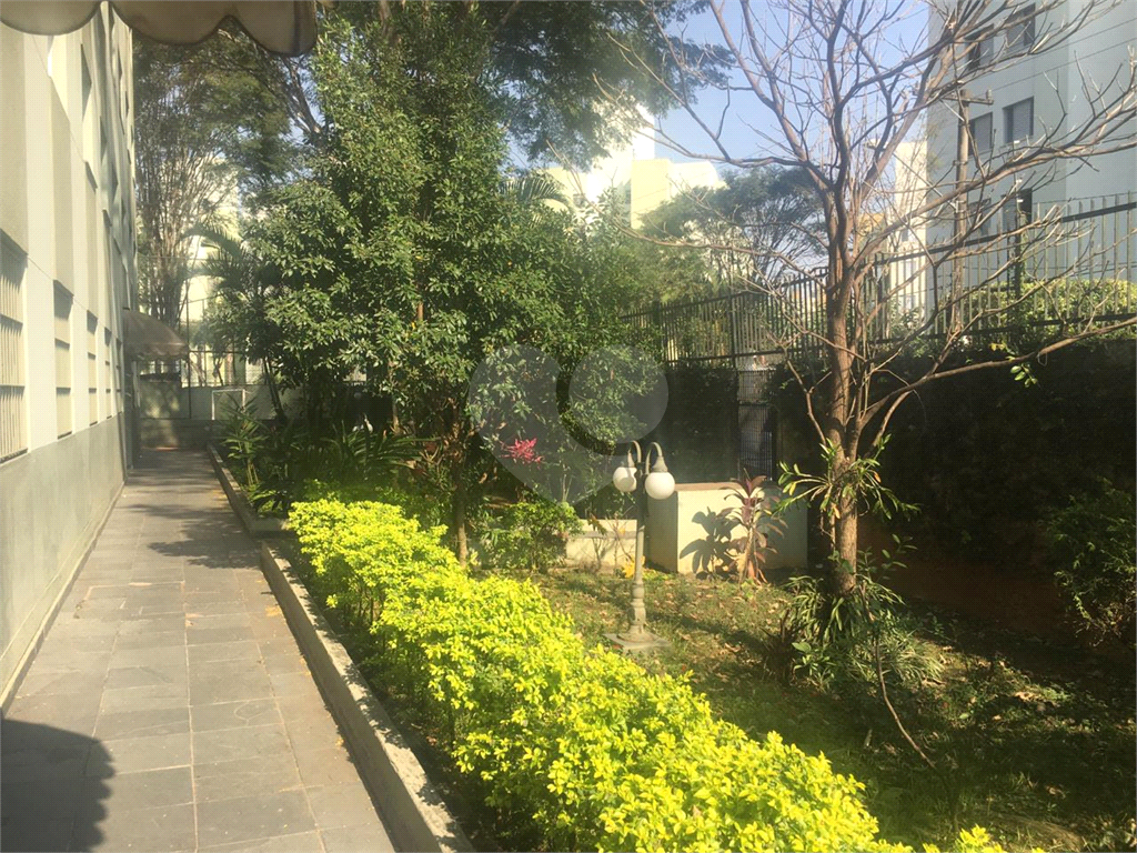 Apartamento Vila Amália