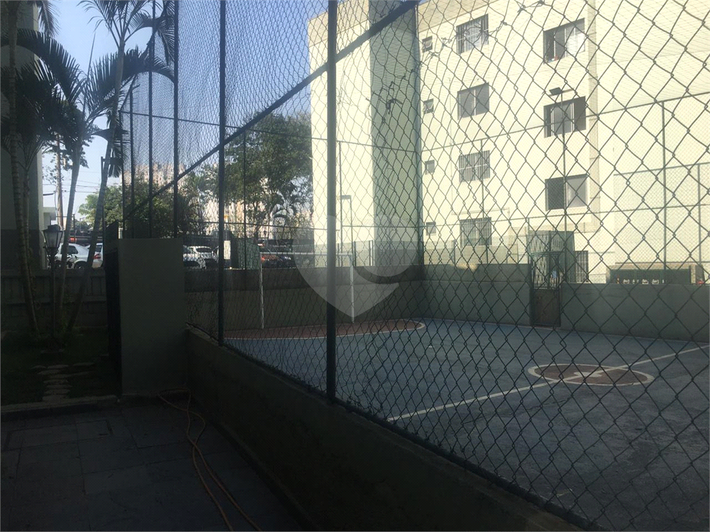 Apartamento Vila Amália