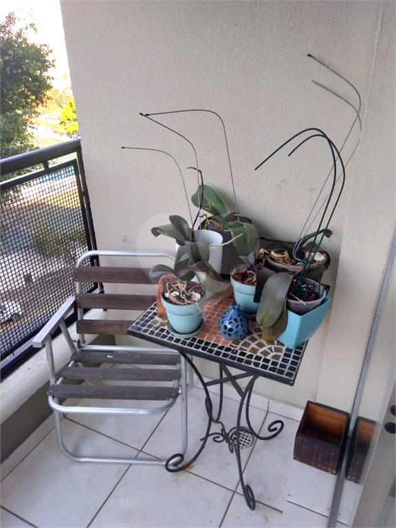 Apartamento - Lauzane Paulista - 2 Dormitórios - 1 Vaga - Venda