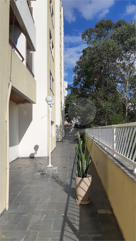 apto mandaqui 3 dorms