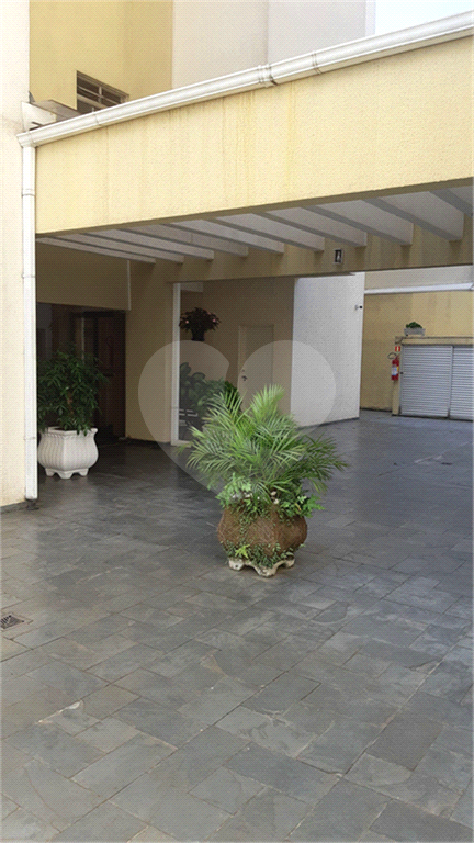 apto mandaqui 3 dorms