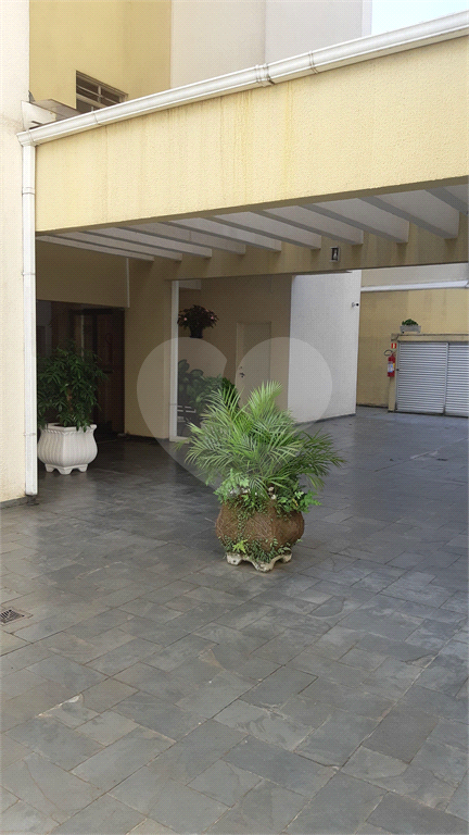 apto mandaqui 3 dorms