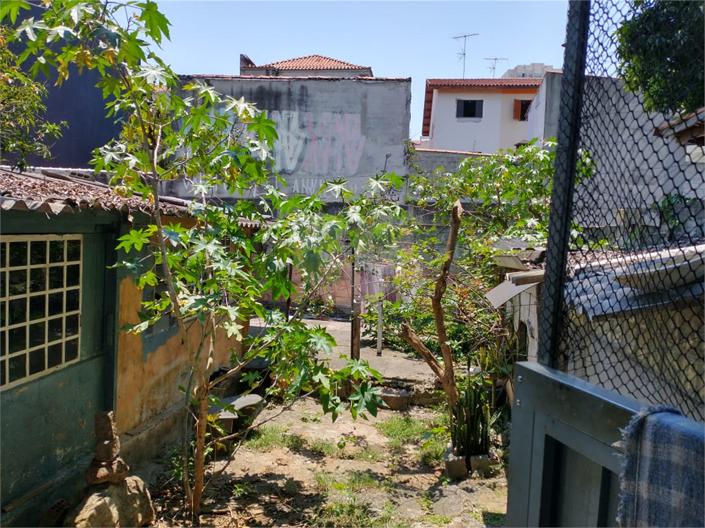 Terreno à venda com 2 quartos, 400m² - Foto 15