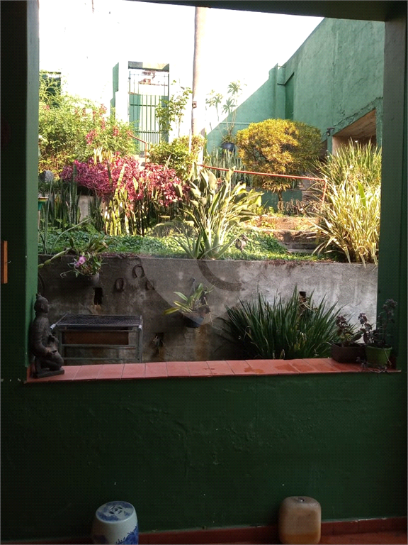 vila albertina - 10 x 30m