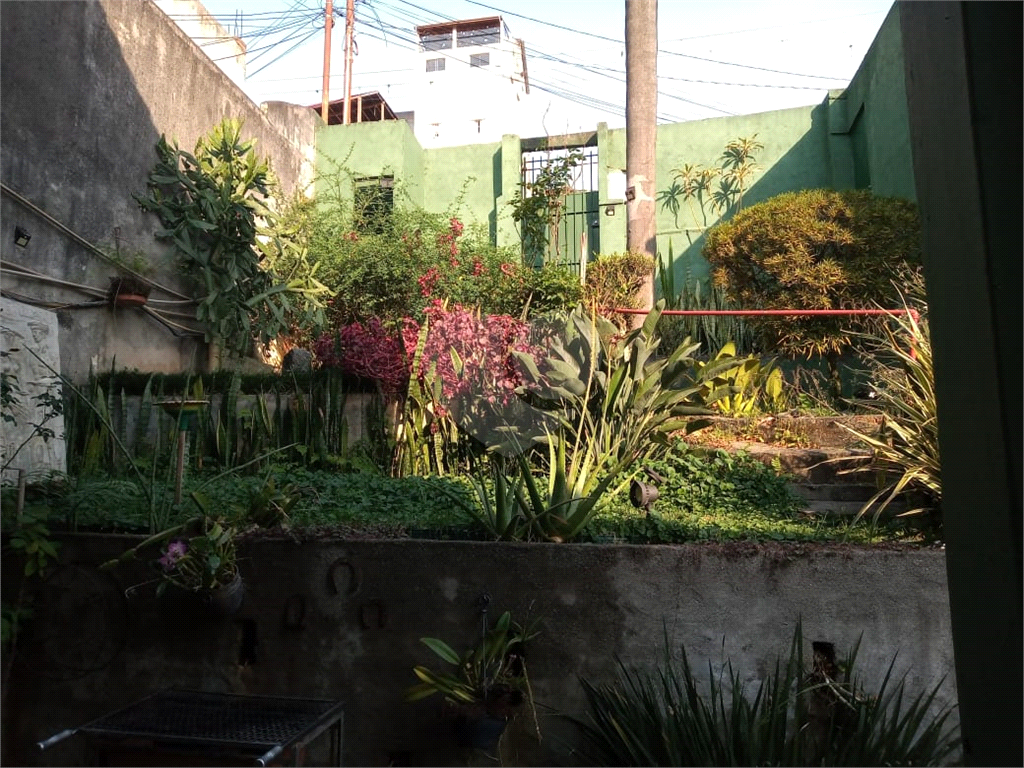 vila albertina - 10 x 30m