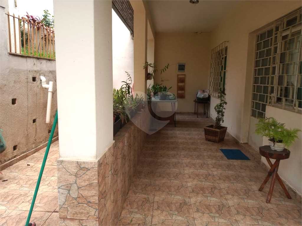 vila albertina - casa terrea terreno 10 x 30- 300m2