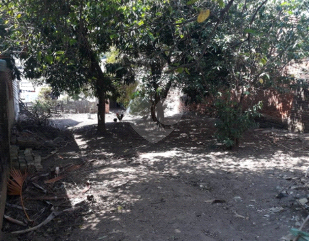 TERRENO em SANTANA