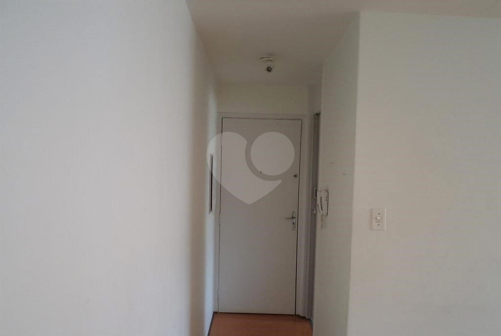 APARTAMENTO em HORTO
