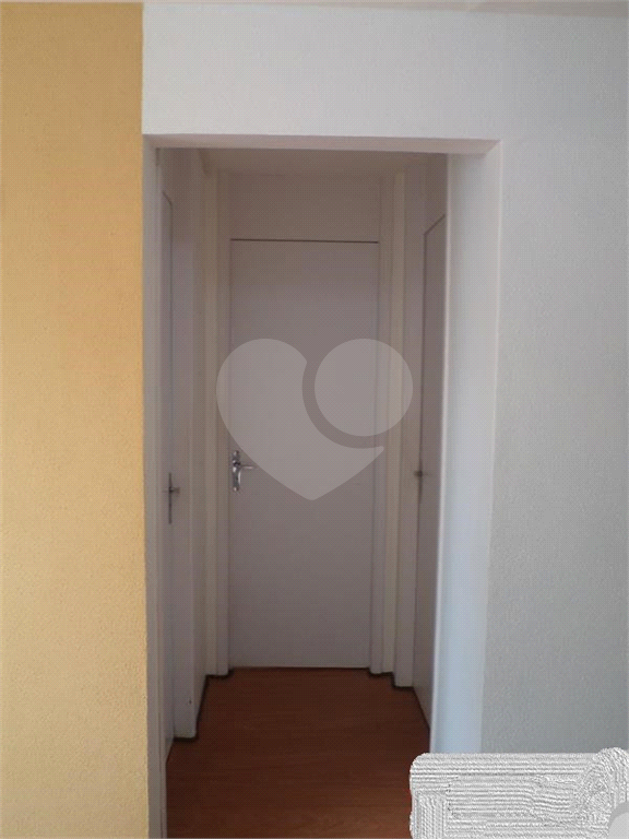 APARTAMENTO em HORTO