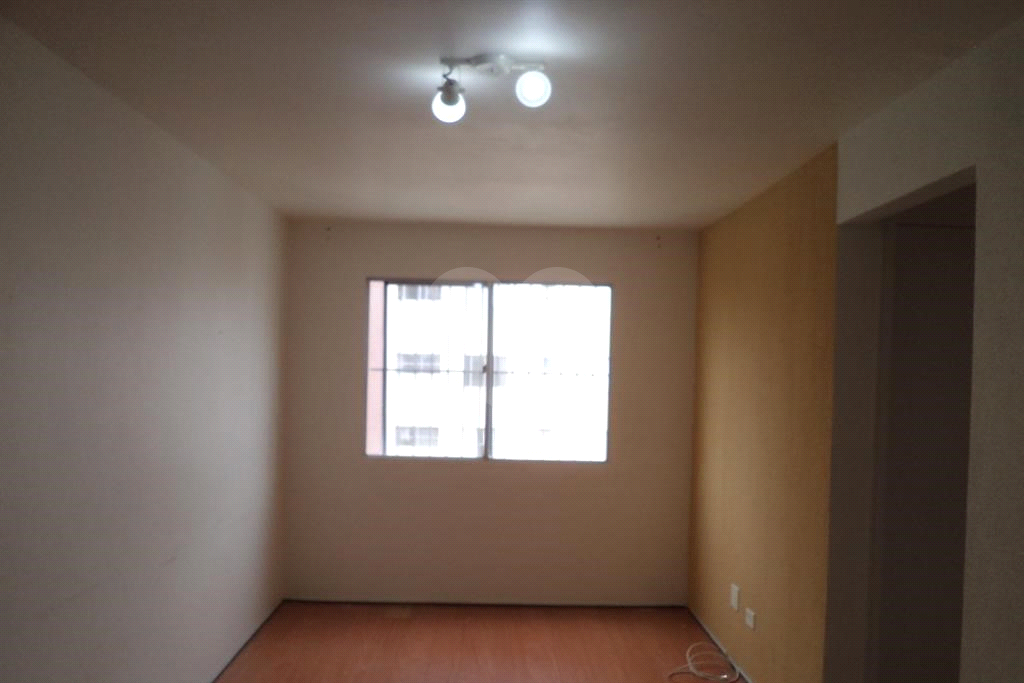 APARTAMENTO em HORTO