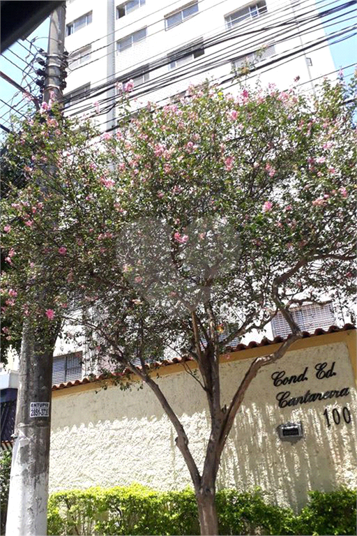 APARTAMENTO em TUCURUVI
