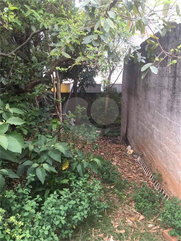 TERRENO em JARDIM ARICANDUVA