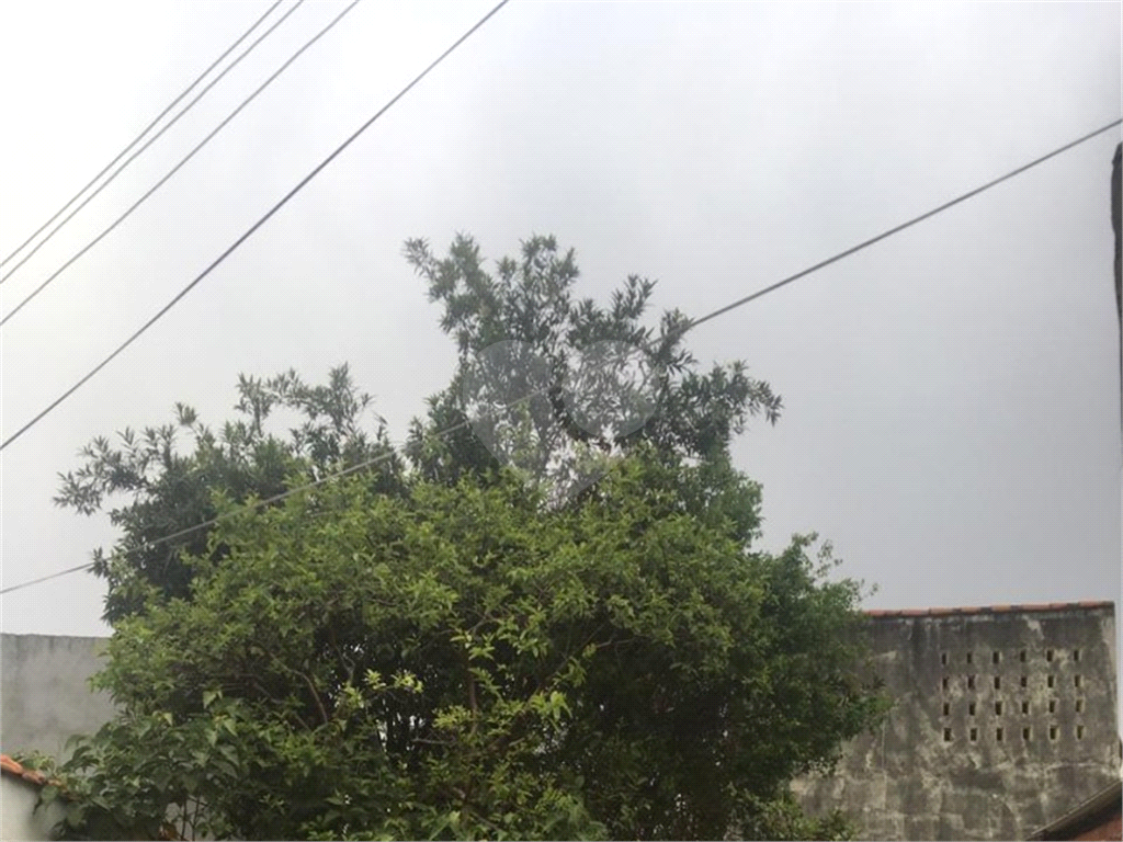 TERRENO em JARDIM ARICANDUVA