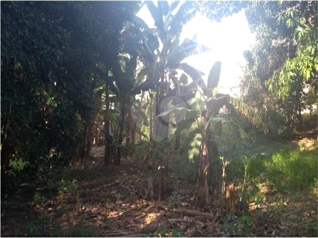 Terreno na Freguesia do Ó