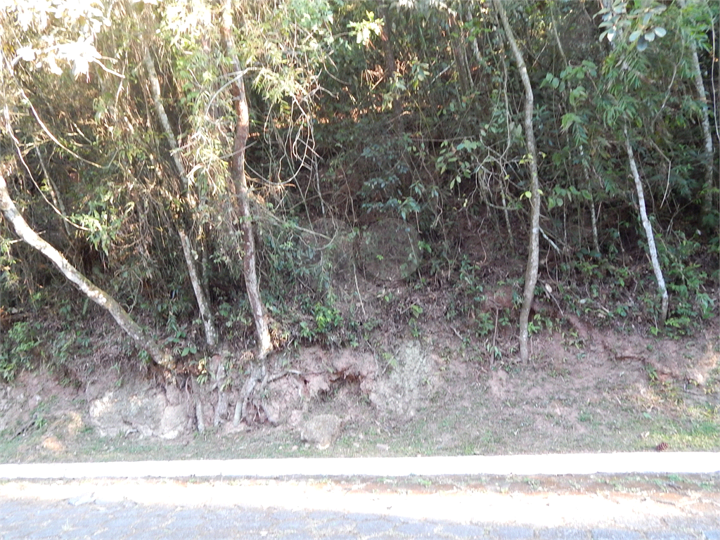 Terreno no Condomínio Parque Imperial da Cantareira, terreno em aclive, local muito verde.