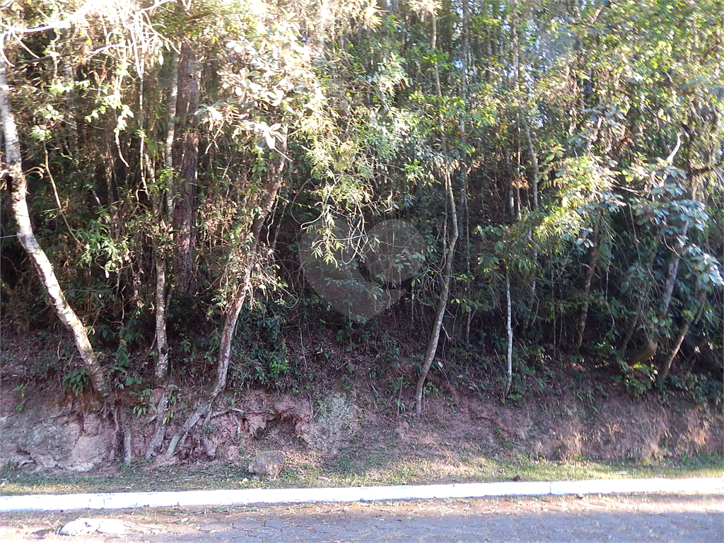 Terreno no Condomínio Parque Imperial da Cantareira, terreno em aclive, local muito verde.