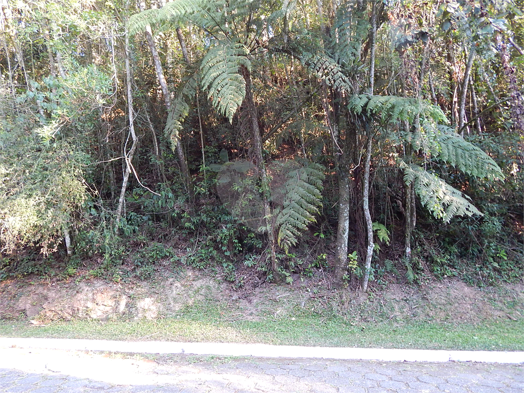 Terreno no Condomínio Parque Imperial da Cantareira, terreno em aclive, local muito verde.