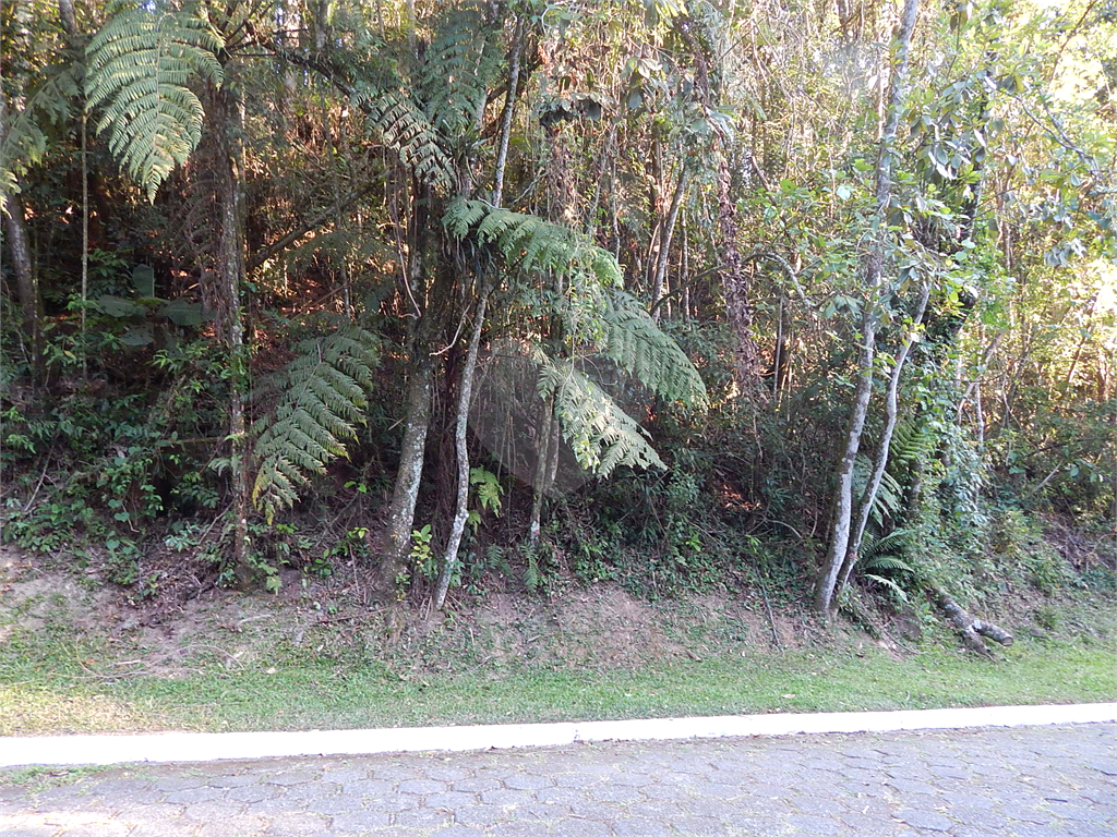 Terreno no Condomínio Parque Imperial da Cantareira, terreno em aclive, local muito verde.