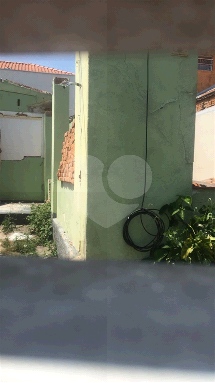 TERRENO / TUCURUVI