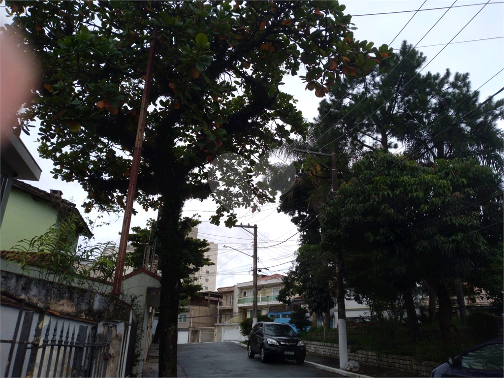 Terreno a venda na  Vila Isolina Mazzei com 237 m² sendo 10,30 metros de frente  