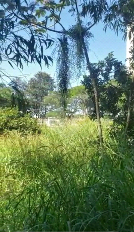 Terreno 1.000 m²