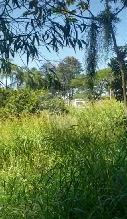 Terreno 1.000 m²