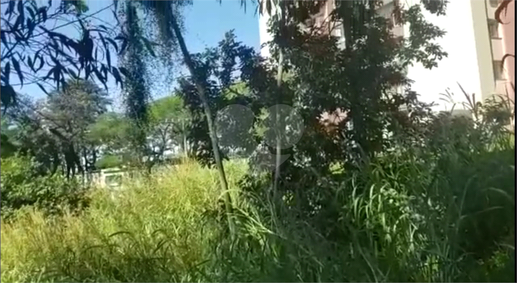 Terreno 1.000 m²