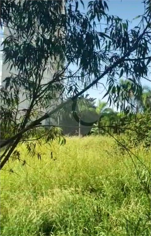 Terreno 1.000 m²