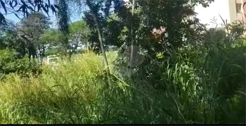 Terreno 1.000 m²