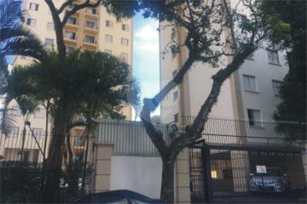 Apartamento Lauzane