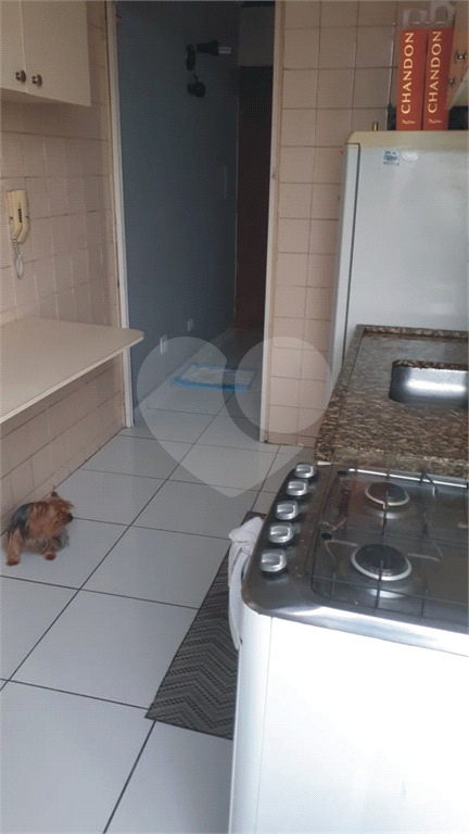 Apartamento Lauzane