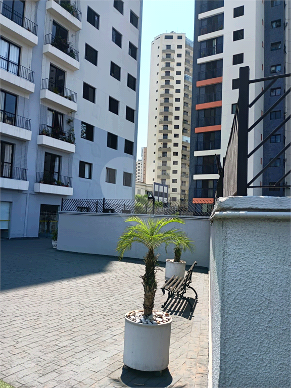 APARTAMENTO em TUCURUVI