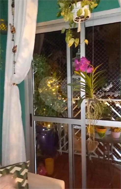 apartamento vila maria - 03 dormitórios
 vila maria - 03 dormitórios
